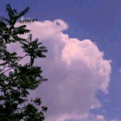 龙腾游戏app下载